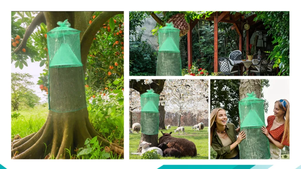 Qualirey Lanternfly Traps