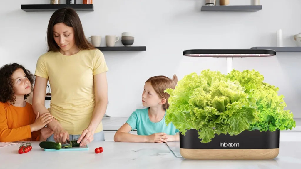 inbloom Hydroponics Growing System